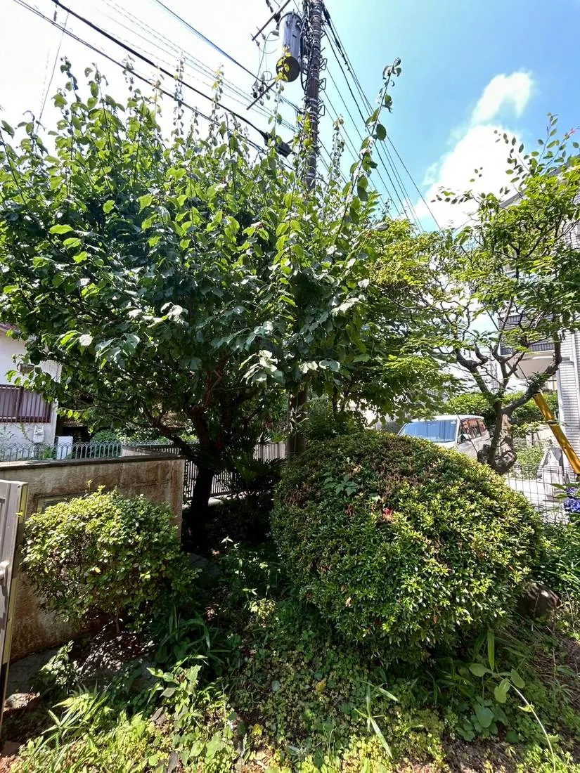 日野市 除草＋防草対策のうえ砂利敷き 施工前