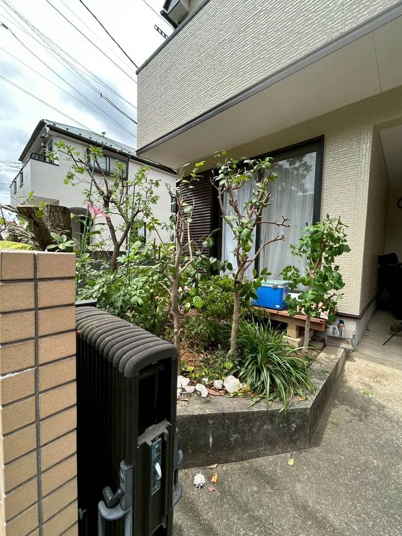 立川市 シンボルツリーの高木剪定 施工後