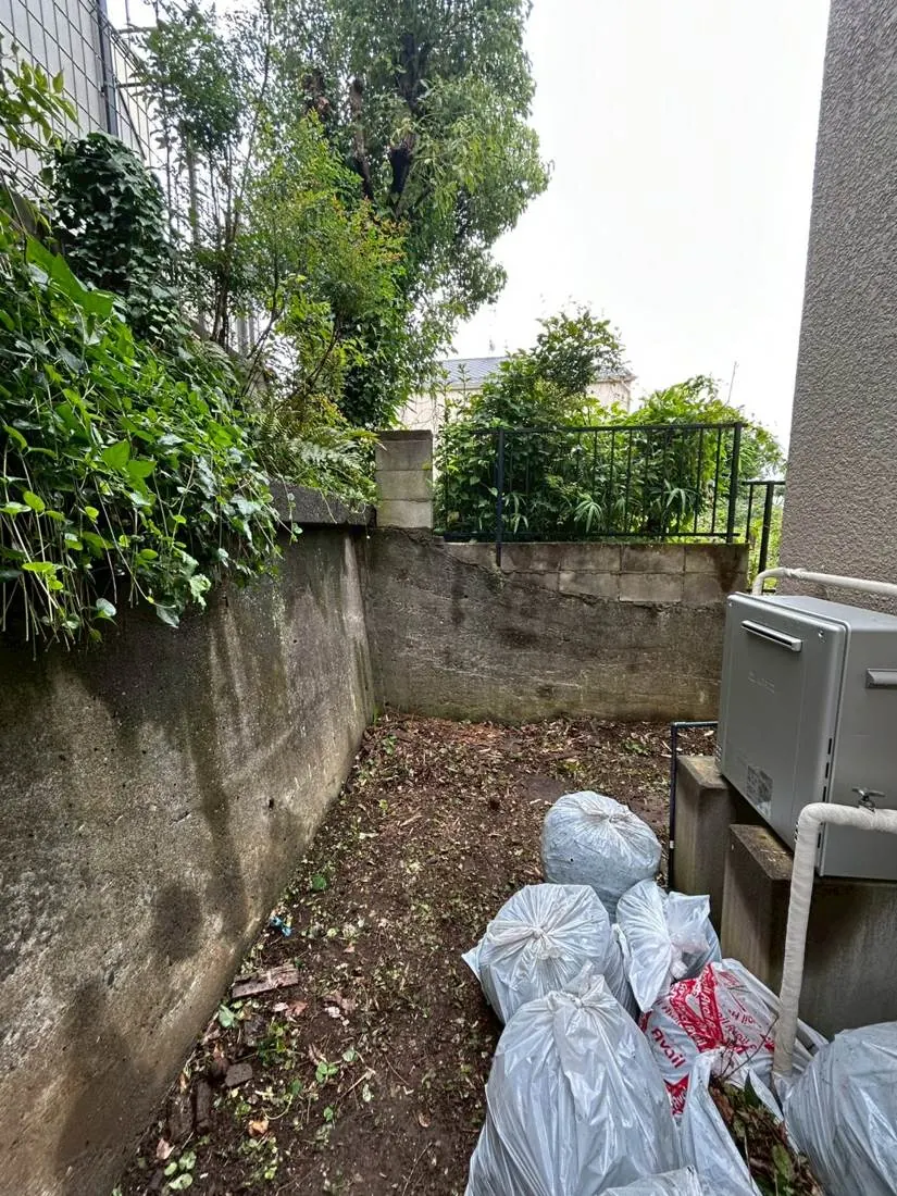 国分寺市 境界の生垣・つる草整理 施工後