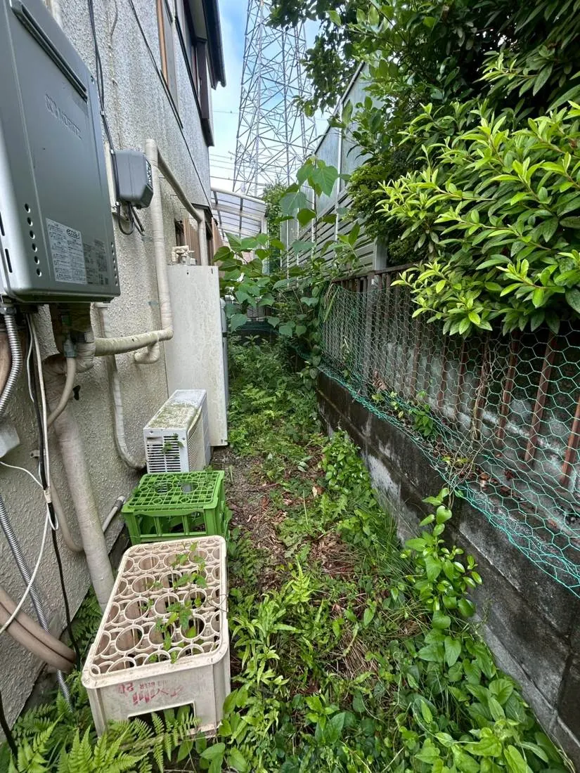 国分寺市 側面の生垣刈込 施工前