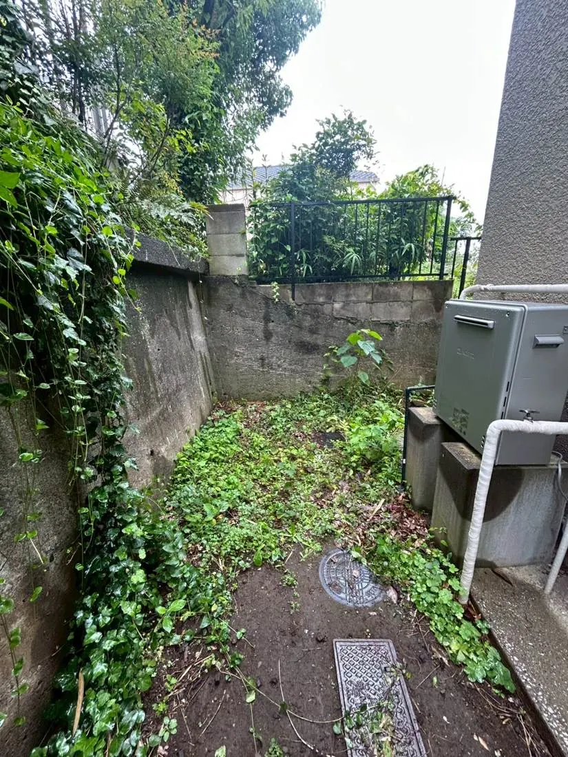 国分寺市 境界の生垣・つる草整理 施工前