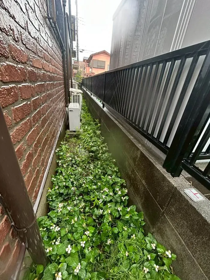 調布市 防草対策 施工前
