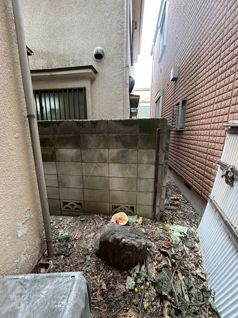 国立市 危険木の伐根 施工後