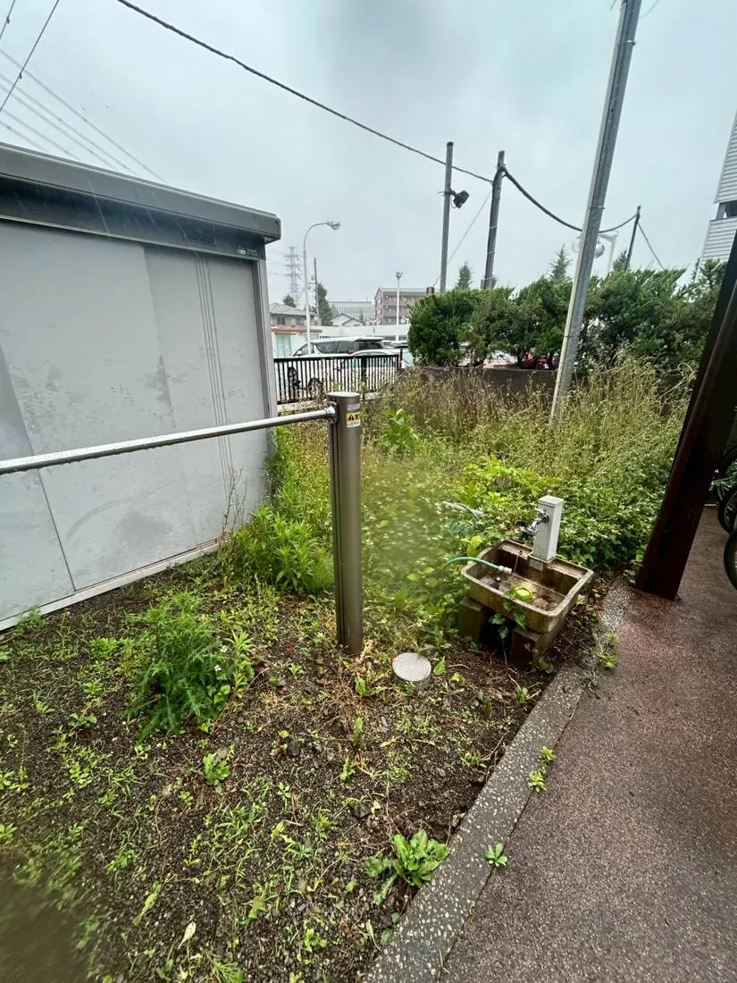 武蔵野市 庭全面の除草＋防草シート 施工前