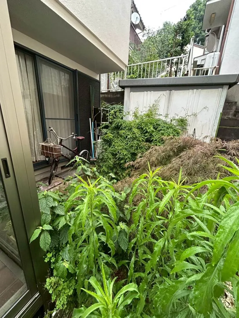 小金井市 庭木の剪定＋庭木整理 施工前