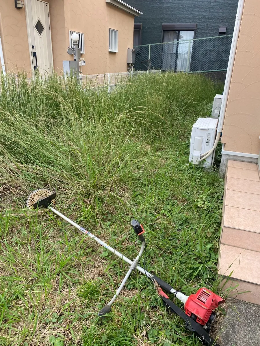 草刈り＋防草シート施工 施工前