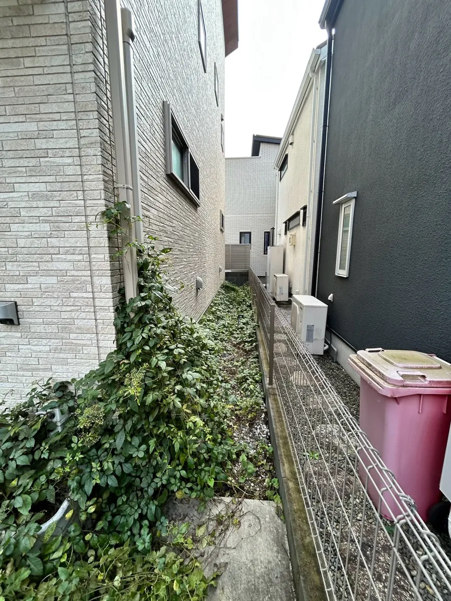 建物脇のつる・雑草の除去 施工前