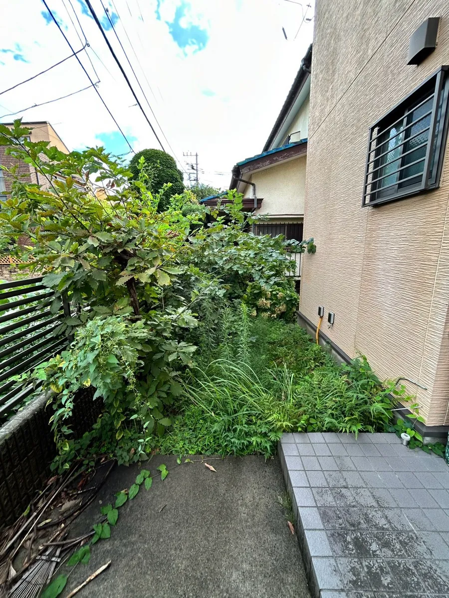 庭一面の草刈り 施工前