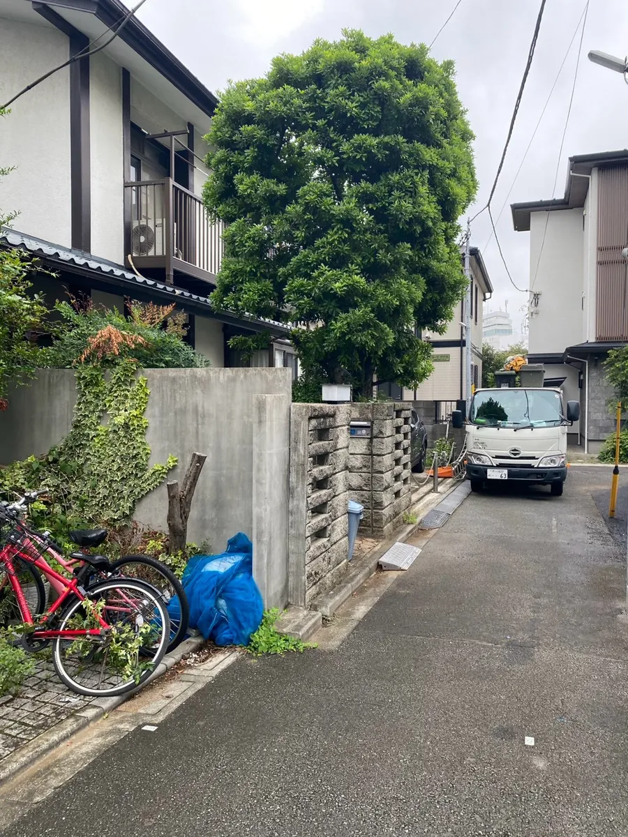 大きく茂った高木の剪定 施工前