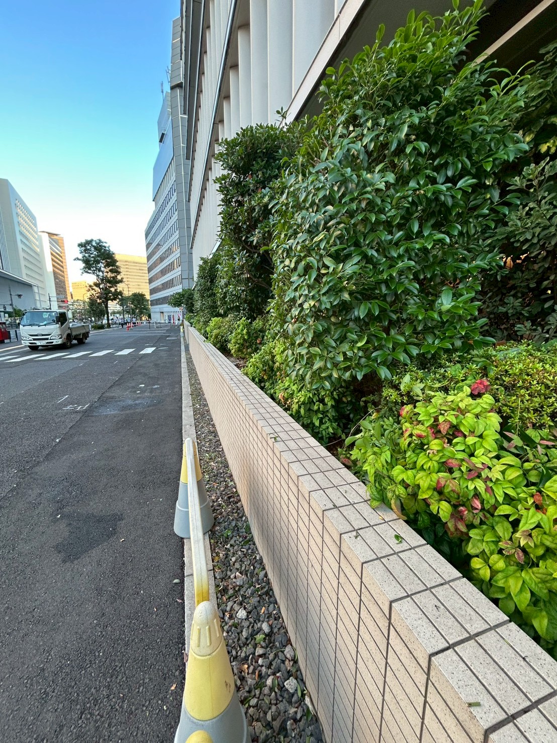 東京都千代田区 ビル・施設植栽管理 施工後