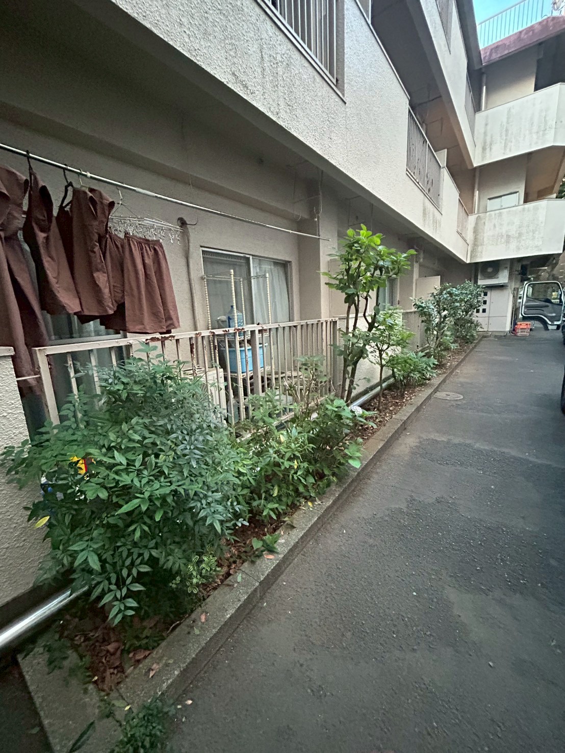 東京都 庭木剪定・お庭管理 施工後