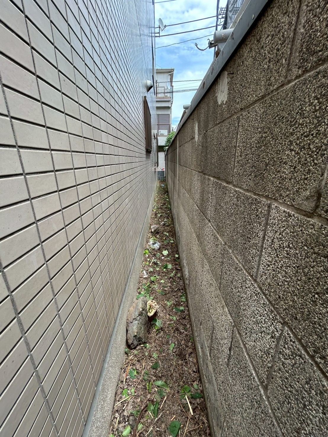 東京都 伐採・伐根 施工後
