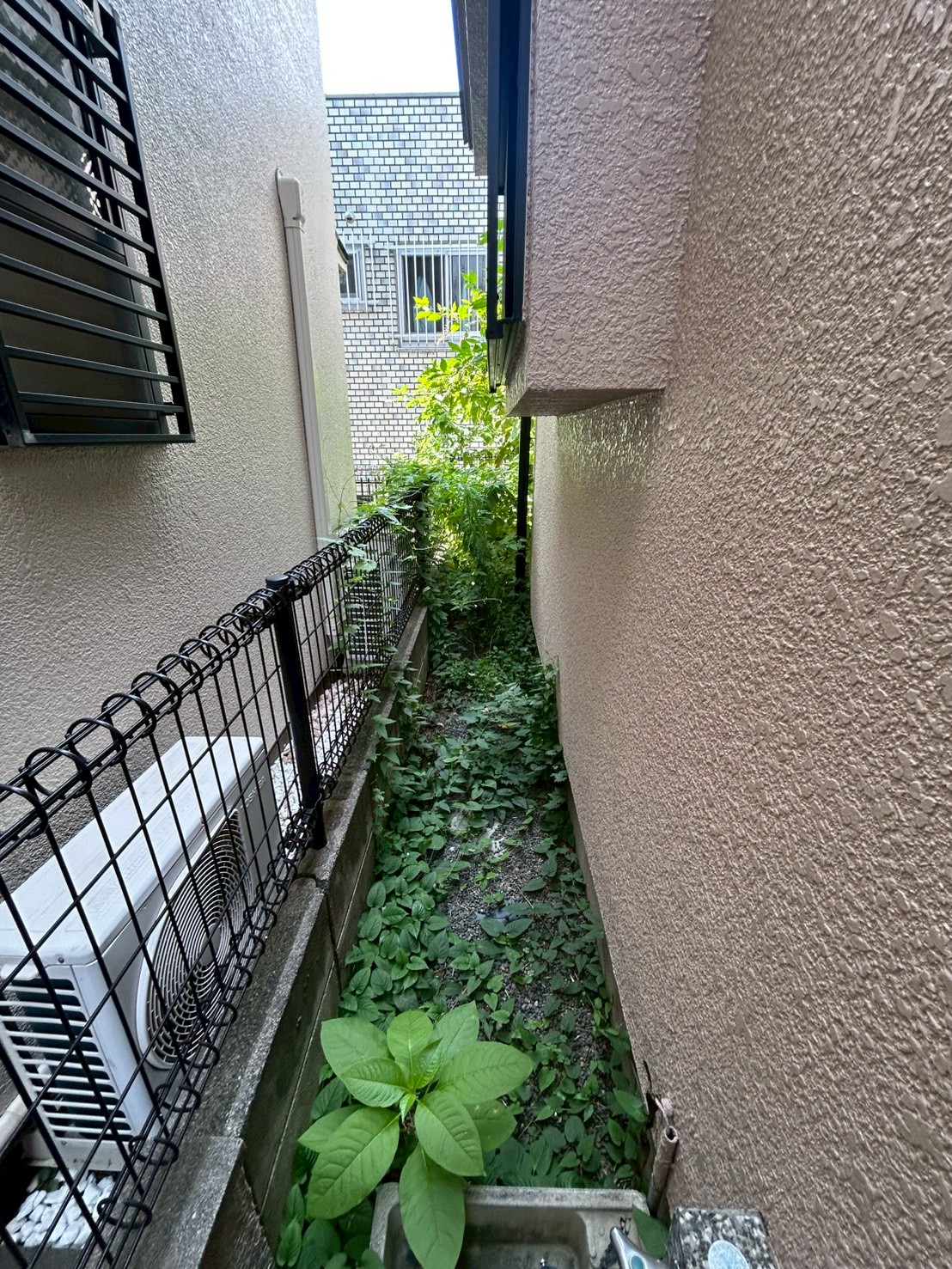 東京都中野区 草刈り・除草 施工前