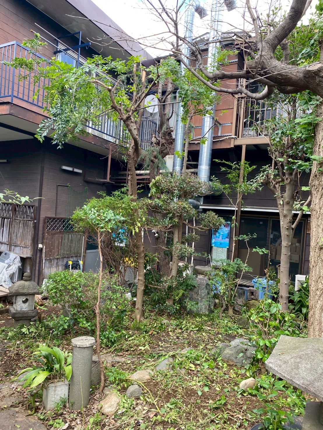 東京都足立区 草刈り・除草 施工後